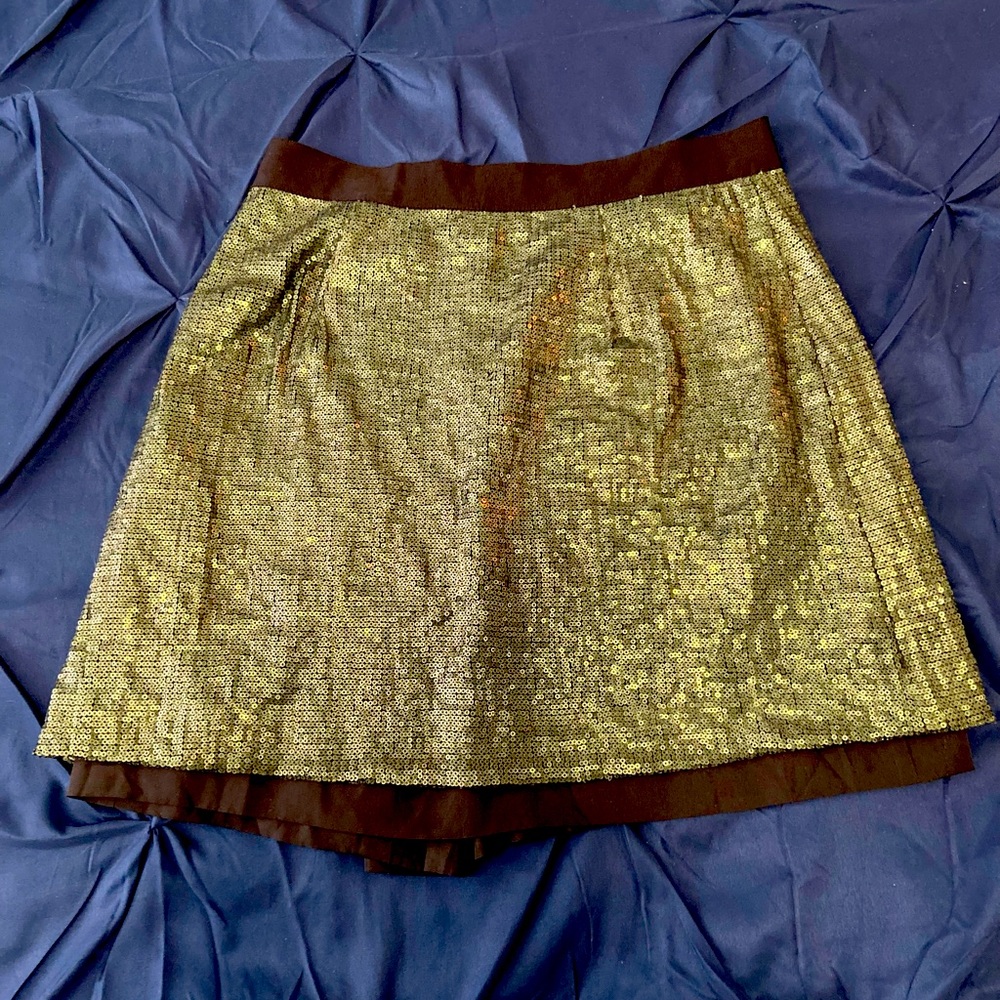 Professional or girls night out sequin skirt ✨